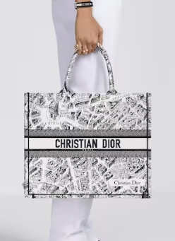 LARGE DIOR BOOK TOTE White and Black Plan de Paris Embroidery M1286ZOM