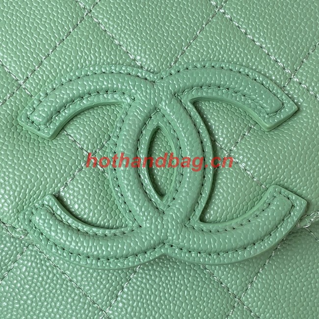 Chanel Shoulder Bag AS3867 green