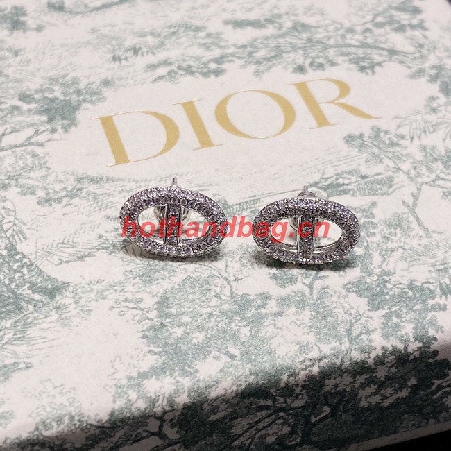 Dior Earrings CE11337