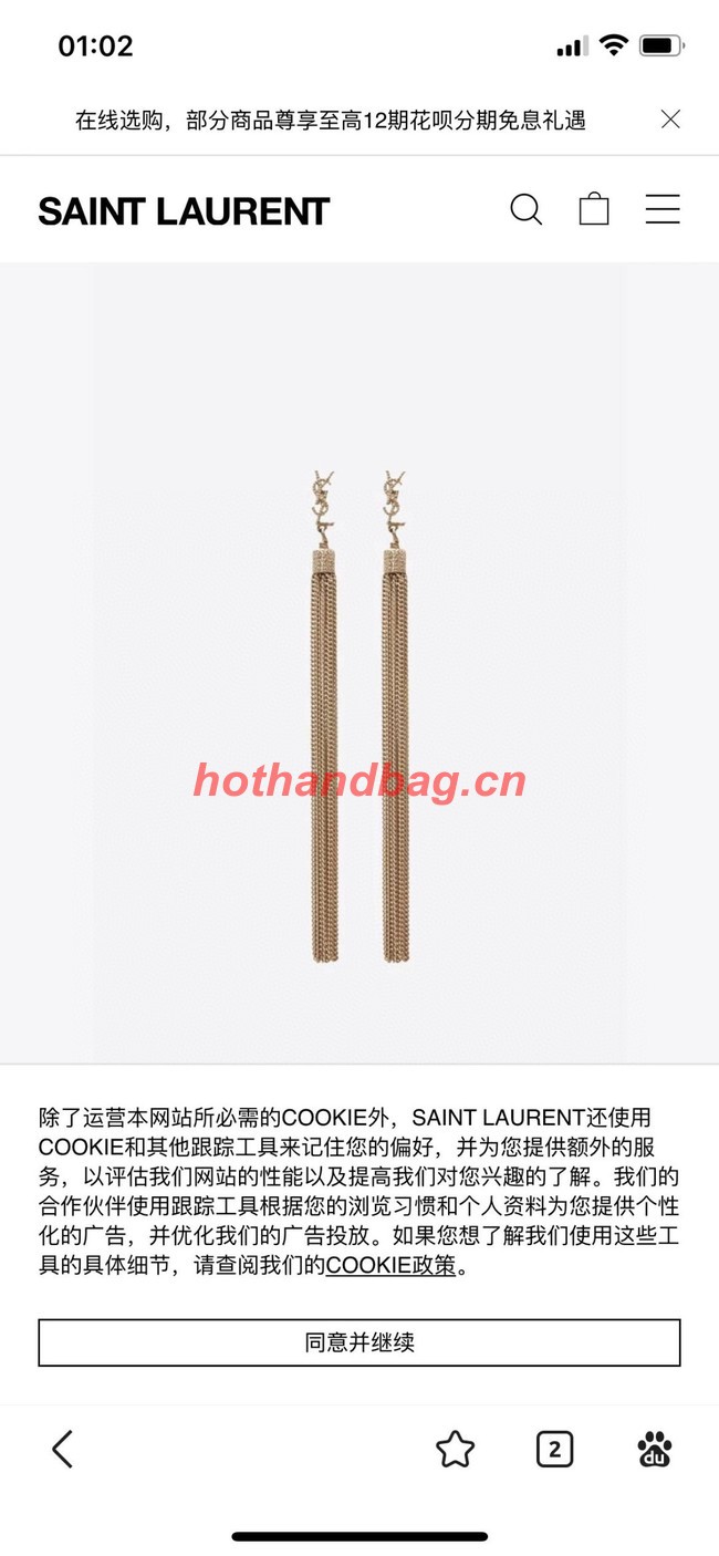 YSL Earrings CE11374