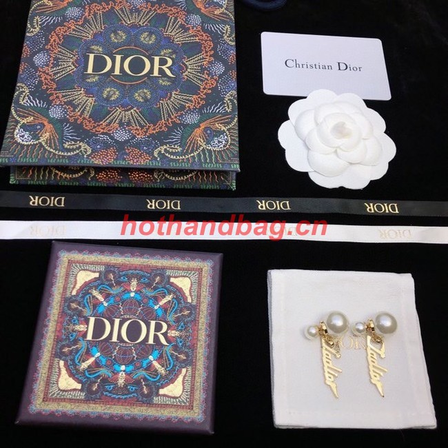 Dior Earrings CE11407