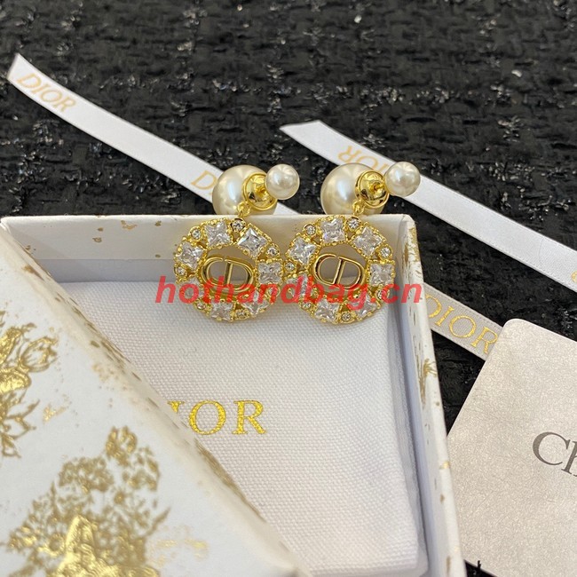 Dior Earrings CE11420