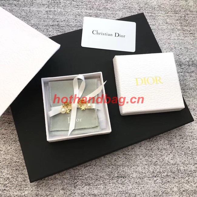 Dior Earrings CE11457