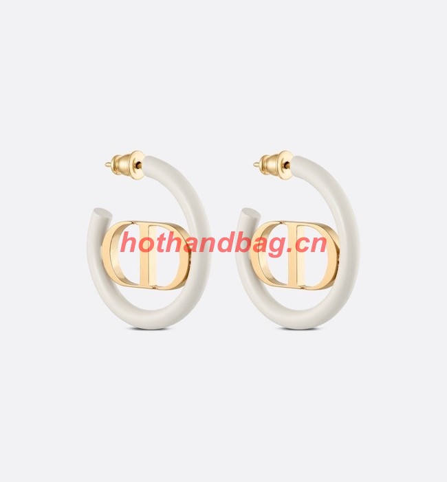 Dior Earrings CE11473