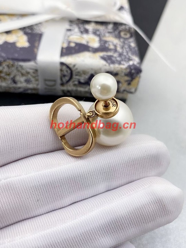 Dior Earrings CE11474