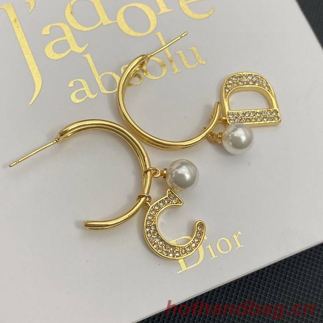 Dior Earrings CE11604