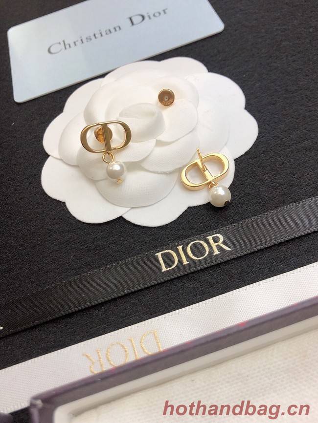 Dior Earrings CE11657