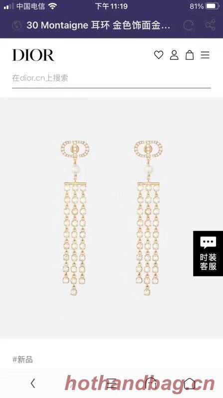 Dior Earrings CE11659