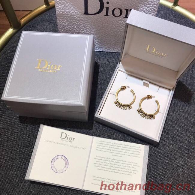 Dior Earrings CE11660