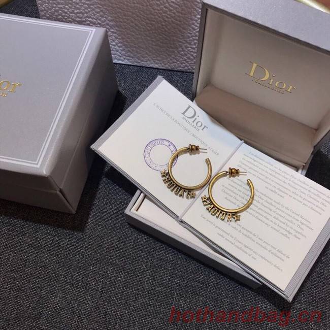 Dior Earrings CE11660