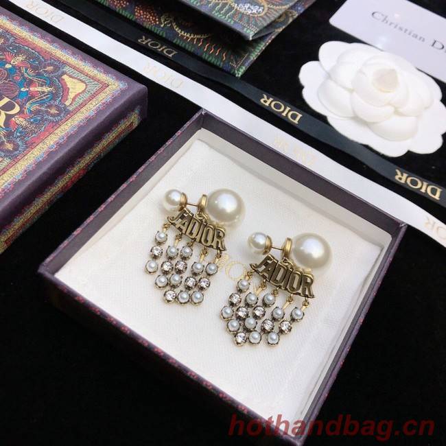 Dior Earrings CE11668