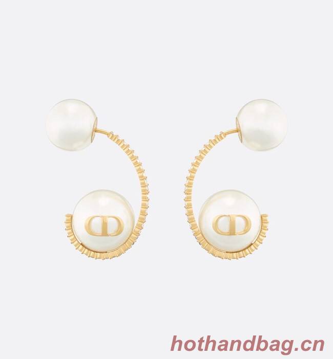 Dior Earrings CE11670