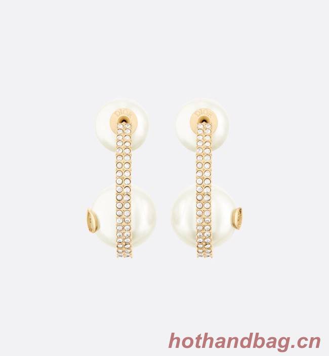 Dior Earrings CE11670