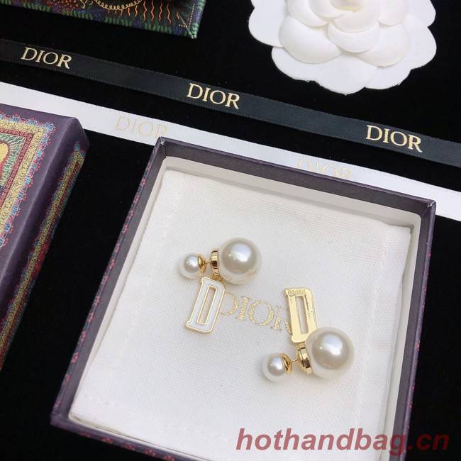 Dior Earrings CE11672