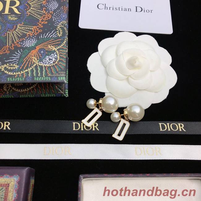 Dior Earrings CE11672