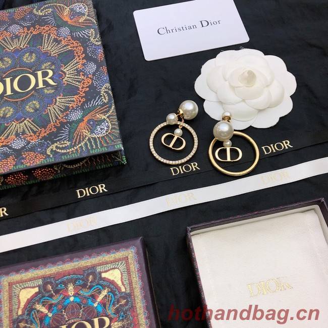 Dior Earrings CE11674