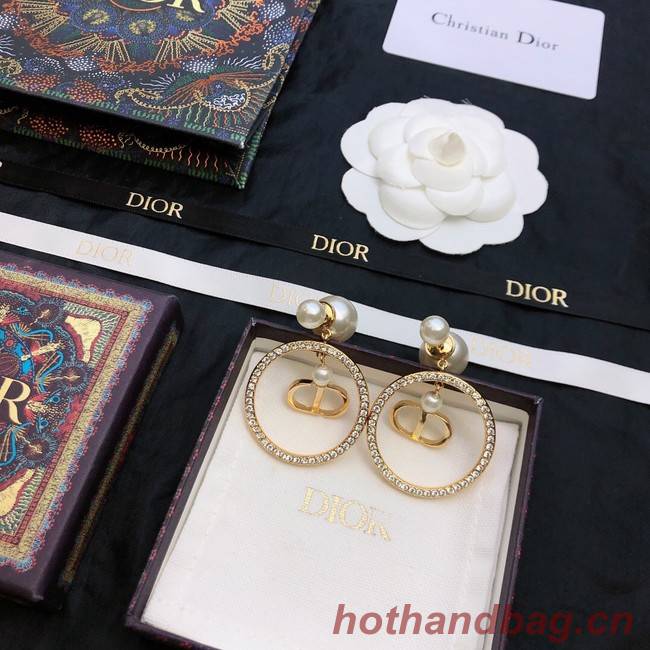 Dior Earrings CE11674