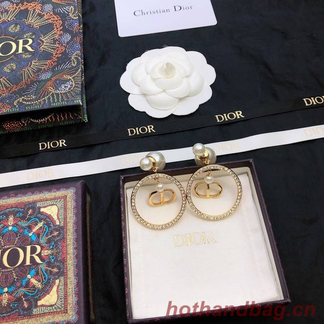 Dior Earrings CE11674