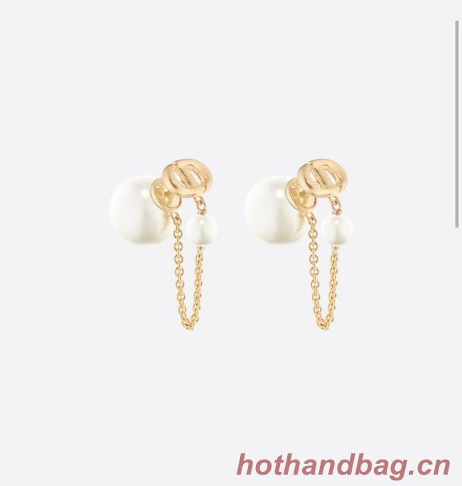 Dior Earrings CE11690