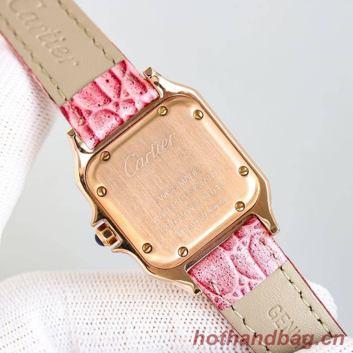 Cartier Watch CTW00257-1