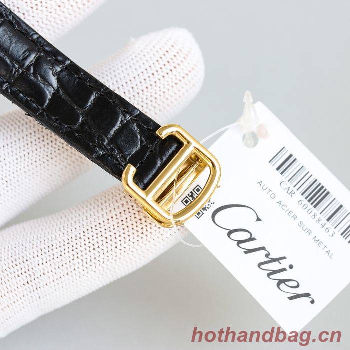 Cartier Watch CTW00258-1