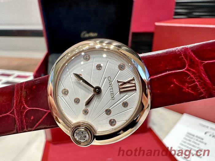 Cartier Watch CTW00278