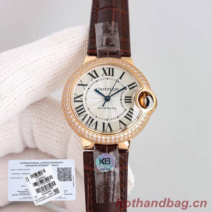 Cartier Watch CTW00315-2