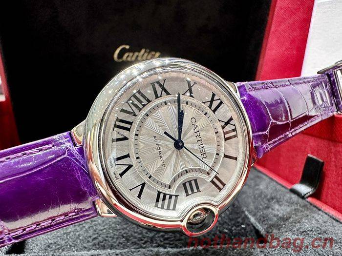 Cartier Watch CTW00333