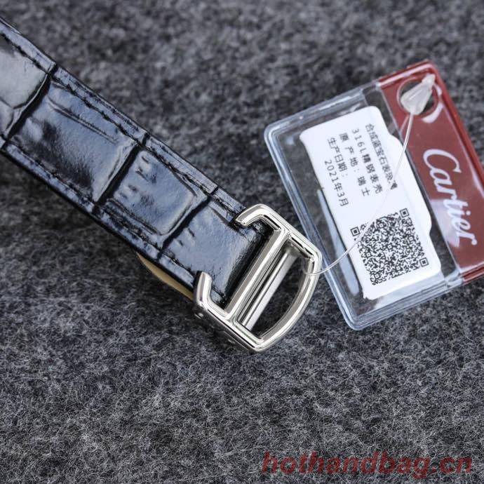 Cartier Watch CTW00349-1