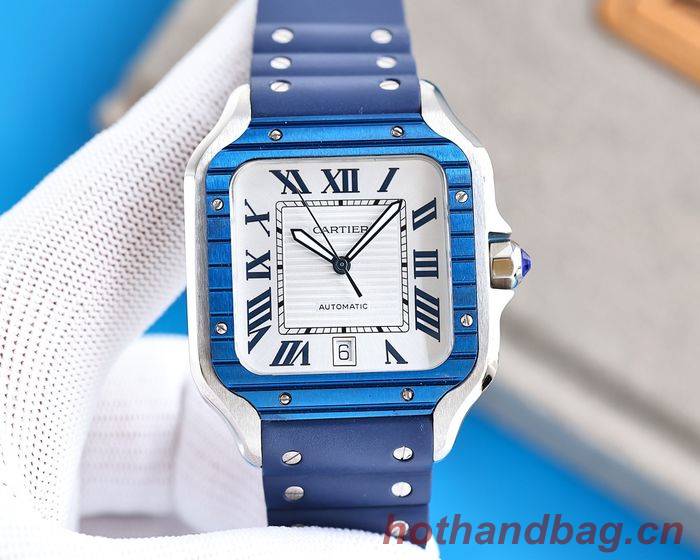 Cartier Watch CTW00355-1