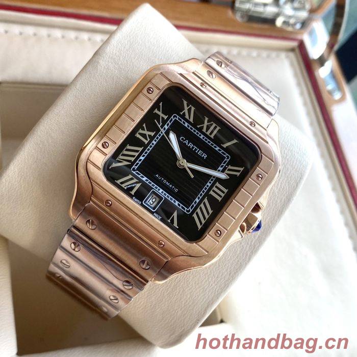 Cartier Watch CTW00359-3