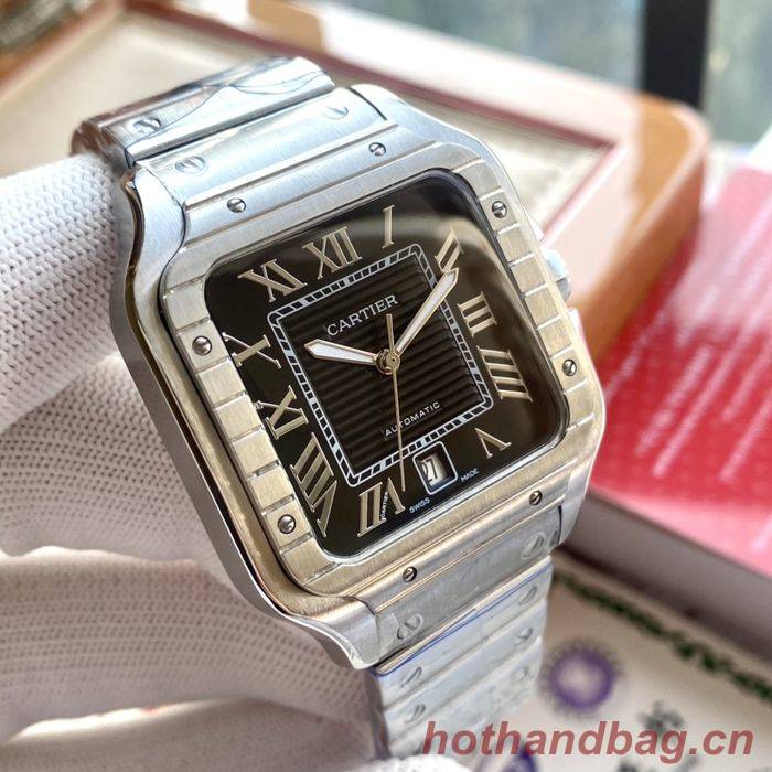 Cartier Watch CTW00360-2