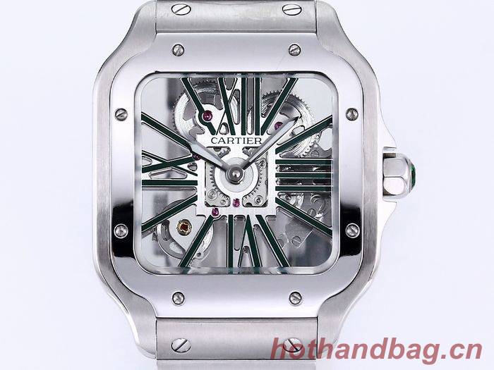 Cartier Watch CTW00365