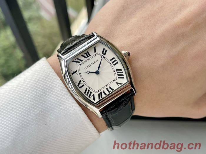 Cartier Watch CTW00461-3