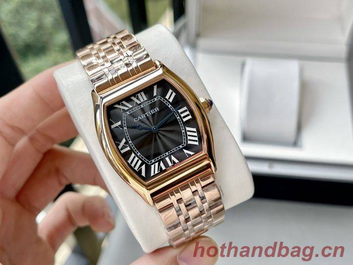 Cartier Watch CTW00462-1