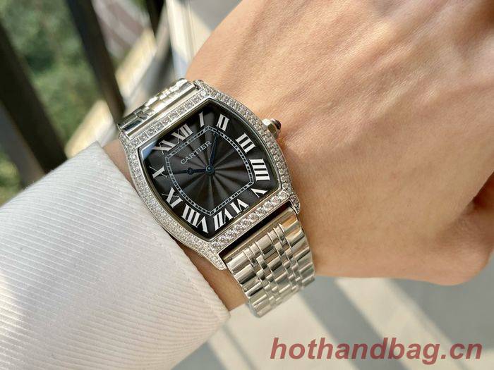 Cartier Watch CTW00462-6