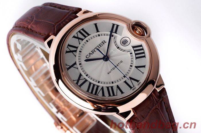 Cartier Watch CTW00487