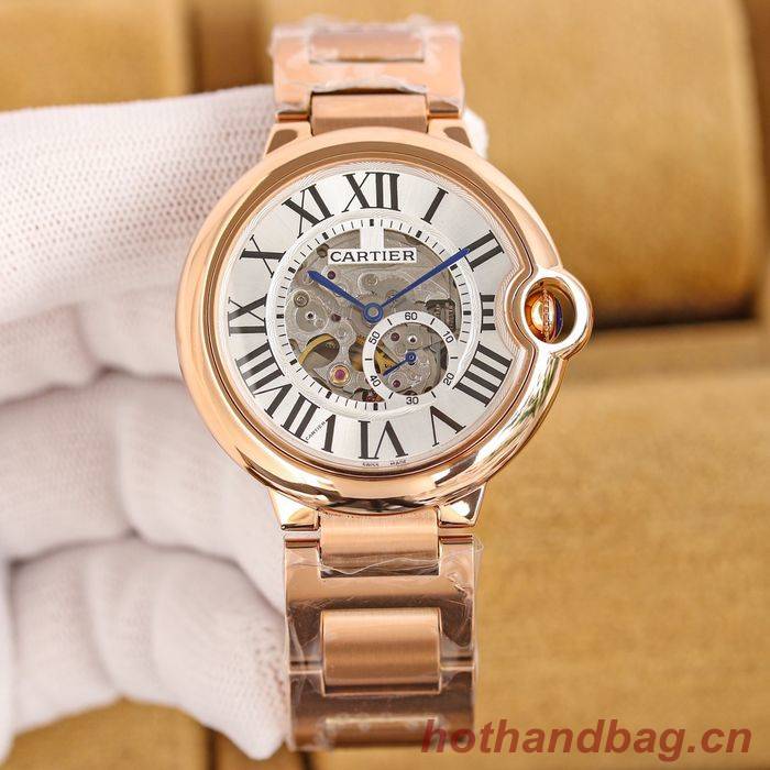 Cartier Watch CTW00502-1