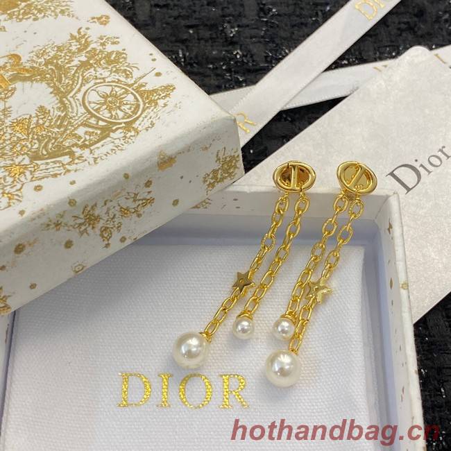 Dior Earrings CE11791