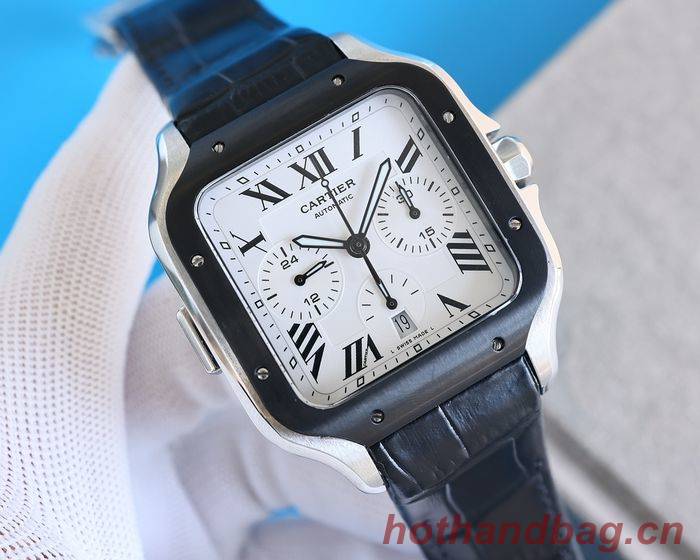 Cartier Watch CTW00516-1