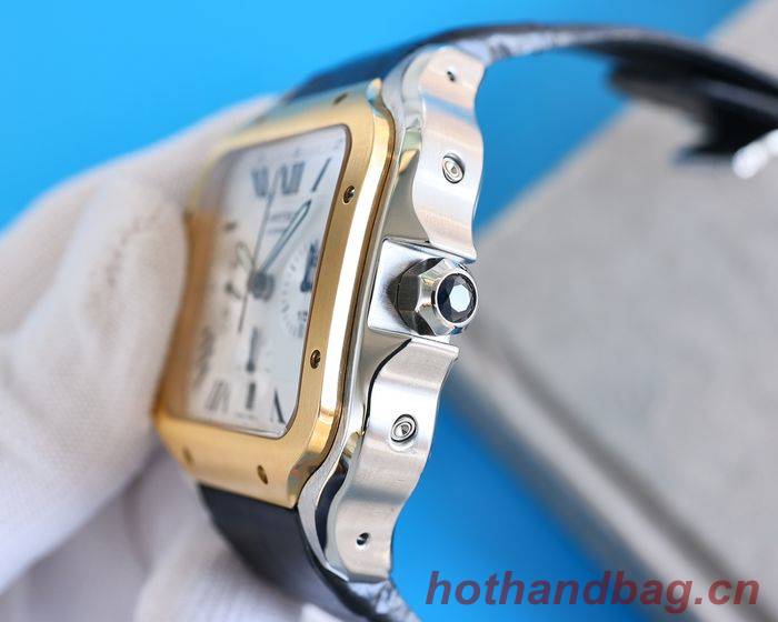 Cartier Watch CTW00517-1