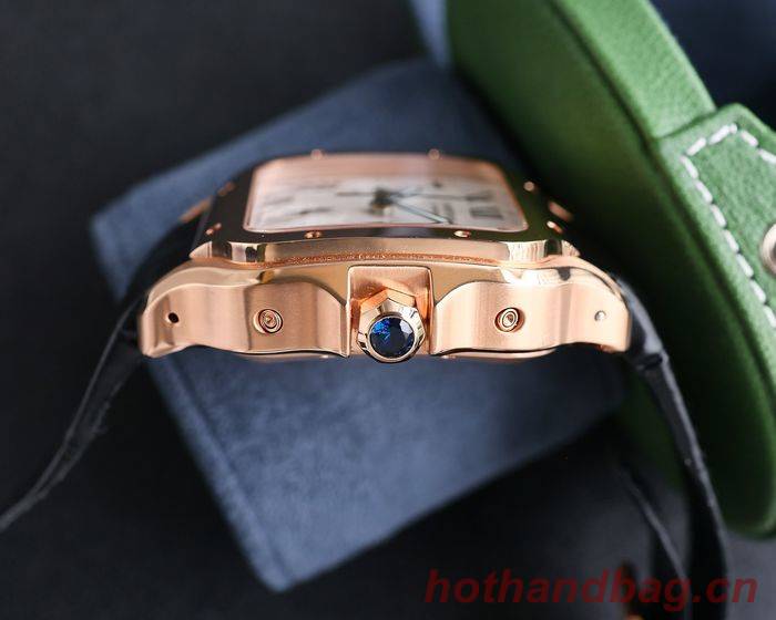 Cartier Watch CTW00518-1