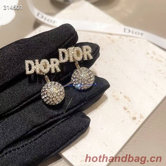 Dior Earrings CE11843