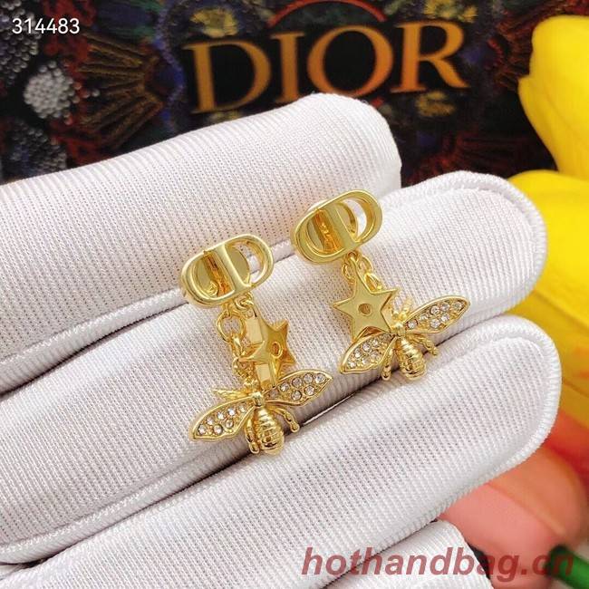 Dior Earrings CE11855