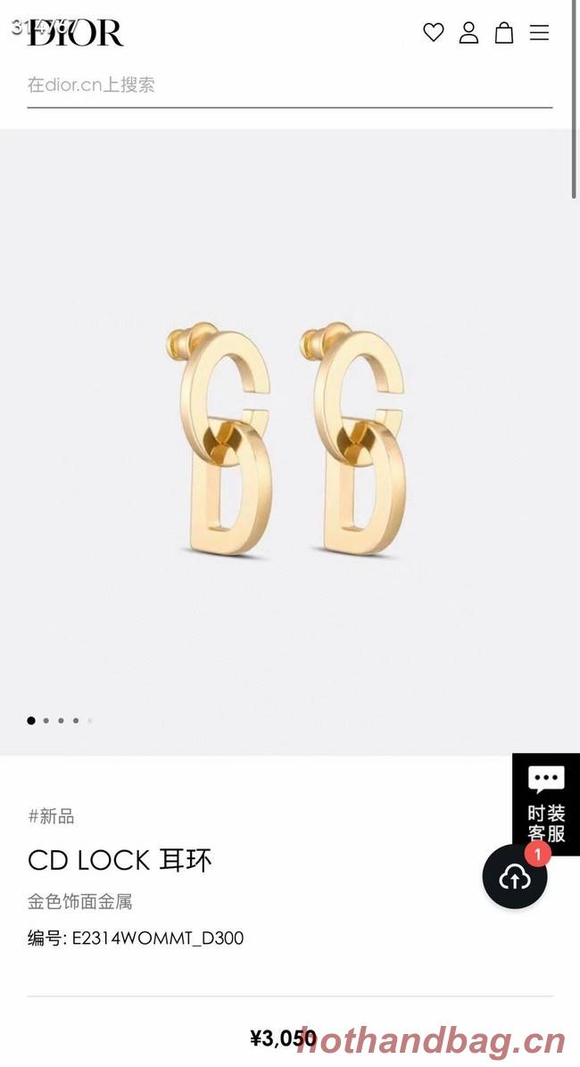 Dior Earrings CE11859