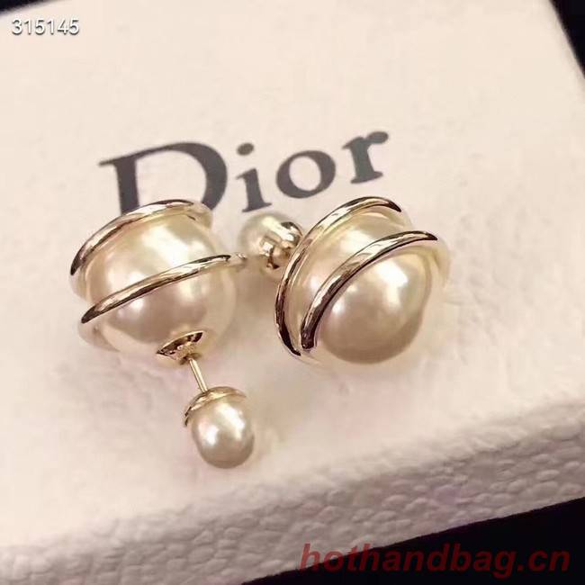 Dior Earrings CE11880