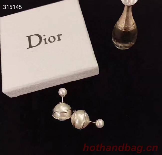 Dior Earrings CE11880