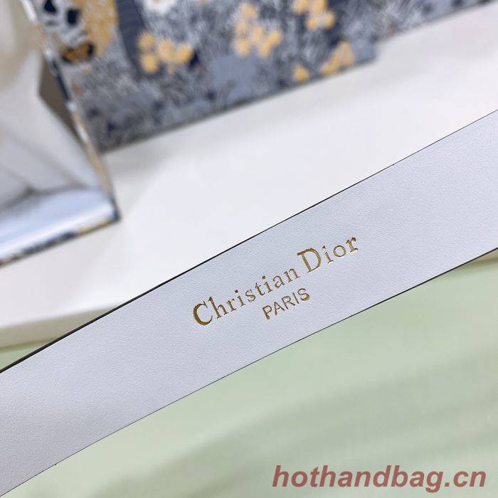 Dior Belt DIB00063