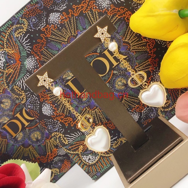 Dior Earrings CE12004