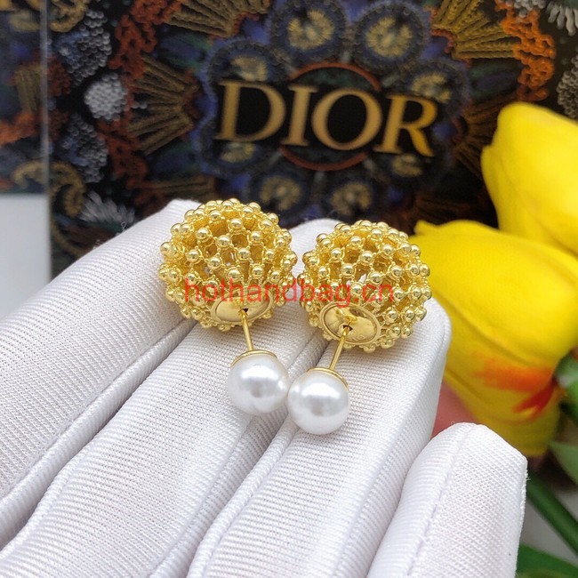 Dior Earrings CE12006